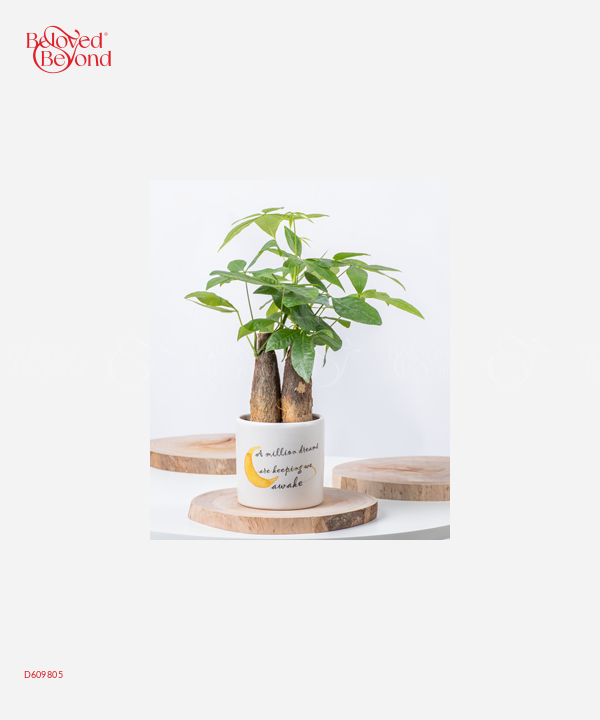 Million Dreams 1 - belovedbeyond.com