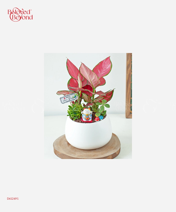Khu Rừng Nhỏ - belovedbeyond.com