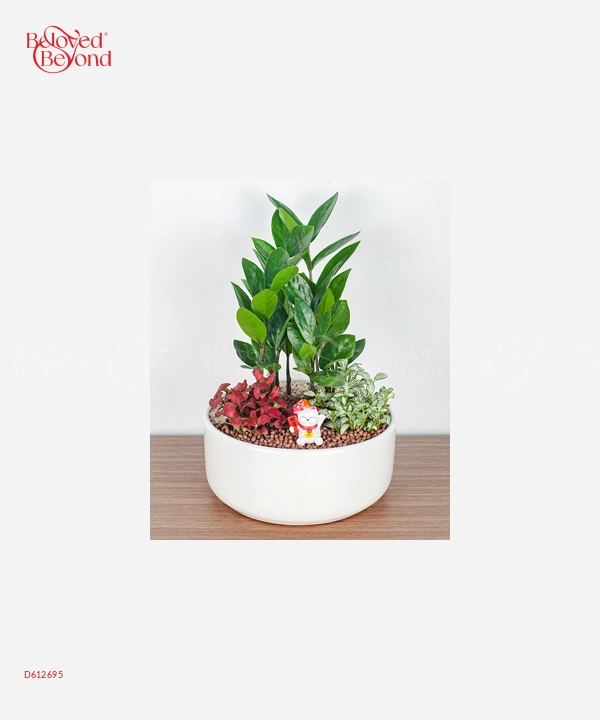 Green Forest - belovedbeyond.com