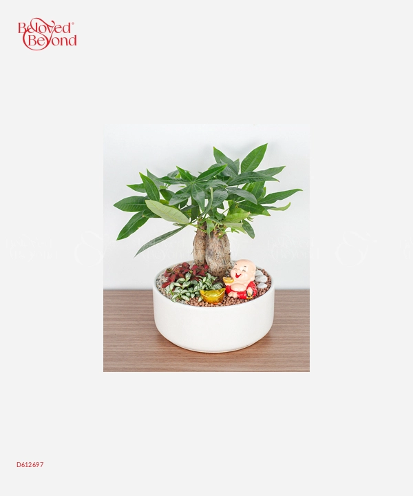 Lucky Tree - belovedbeyond.com