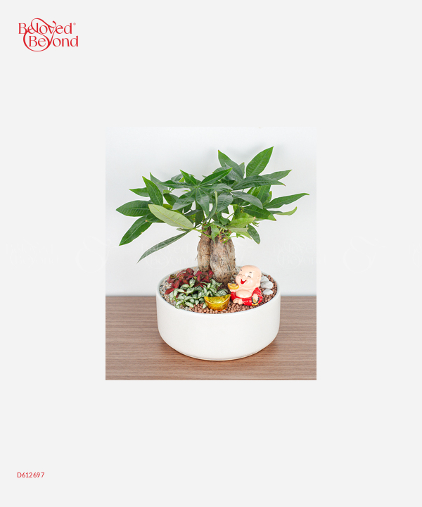 Lucky Tree - belovedbeyond.com