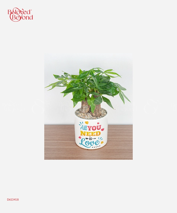 Nắng Ấm Bên Nhau - belovedbeyond.com