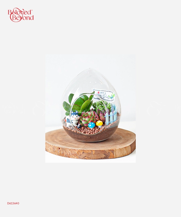 Happy Day 10 - belovedbeyond.com