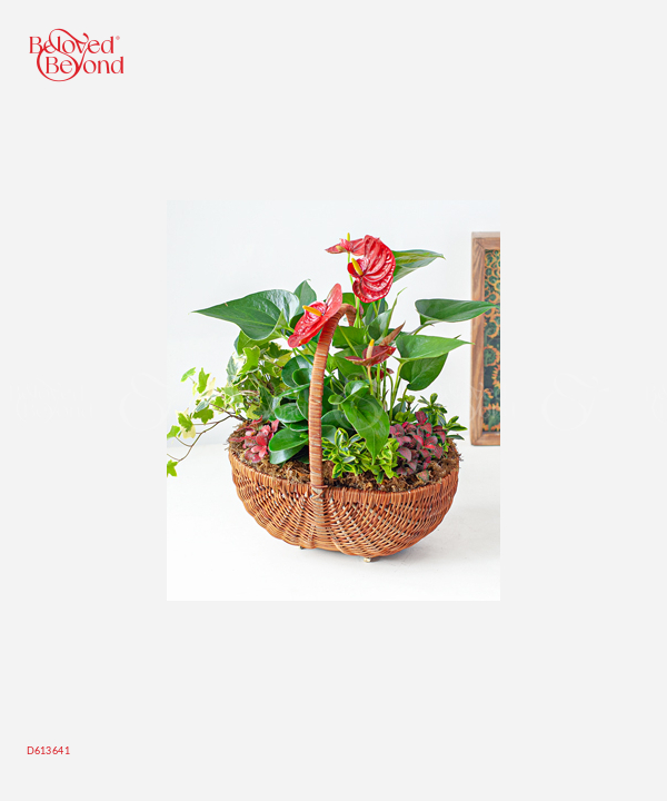 Happy Day 9 - belovedbeyond.com