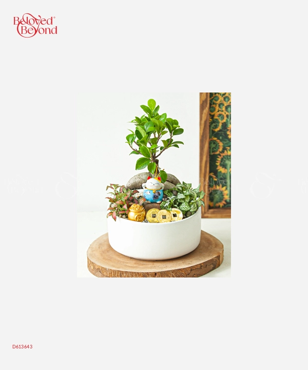 Happy Day 6 - belovedbeyond.com