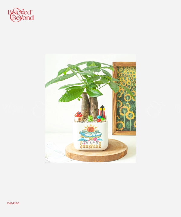 Happy Women's Day 2 - belovedbeyond.com