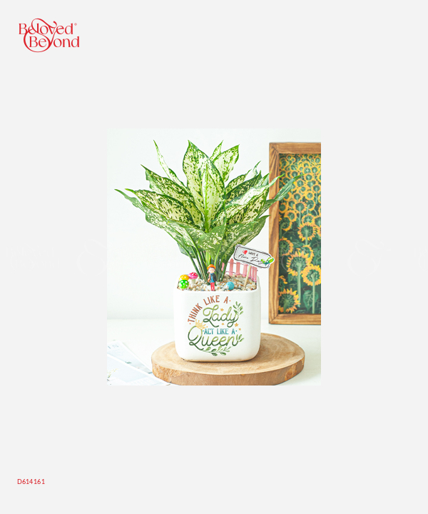 Happ Women's Day 1 - belovedbeyond.com