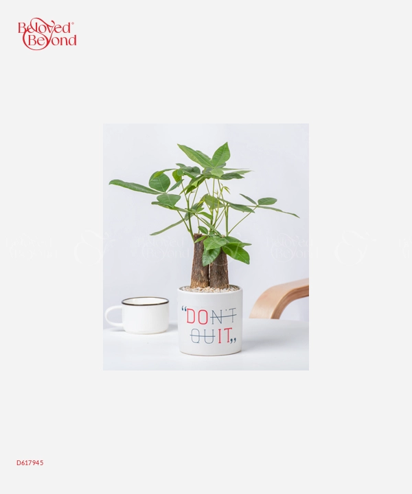 Don't Quit 1 - belovedbeyond.com