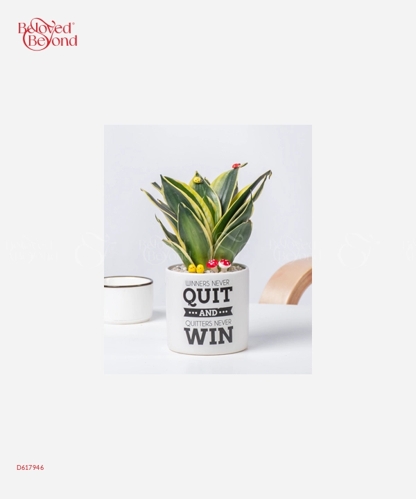 Never Quit - belovedbeyond.com