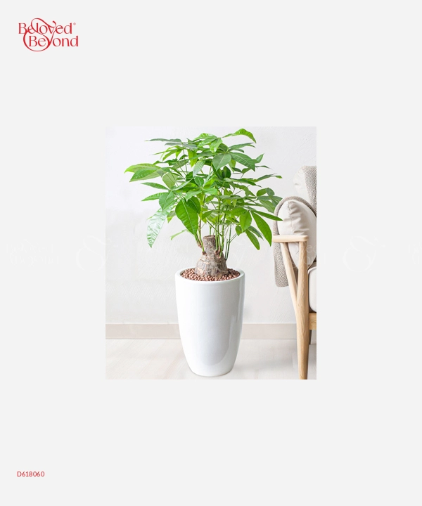 Kim Ngân Đại - belovedbeyond.com