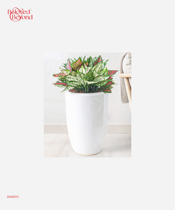 Vạn Lộc Mix Ngọc Ngân 1 - belovedbeyond.com