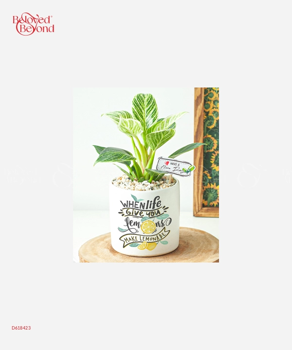 Đế Vương Kim Cương Lớn - belovedbeyond.com