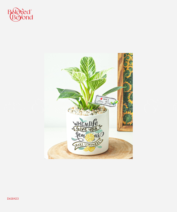Đế Vương Kim Cương Lớn - belovedbeyond.com