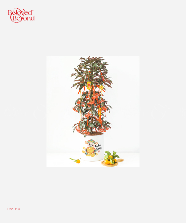 Kim Ngân Lượng Trụ 22 - belovedbeyond.com
