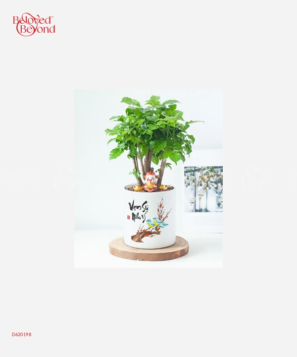 Tết Sum Họp - belovedbeyond.com