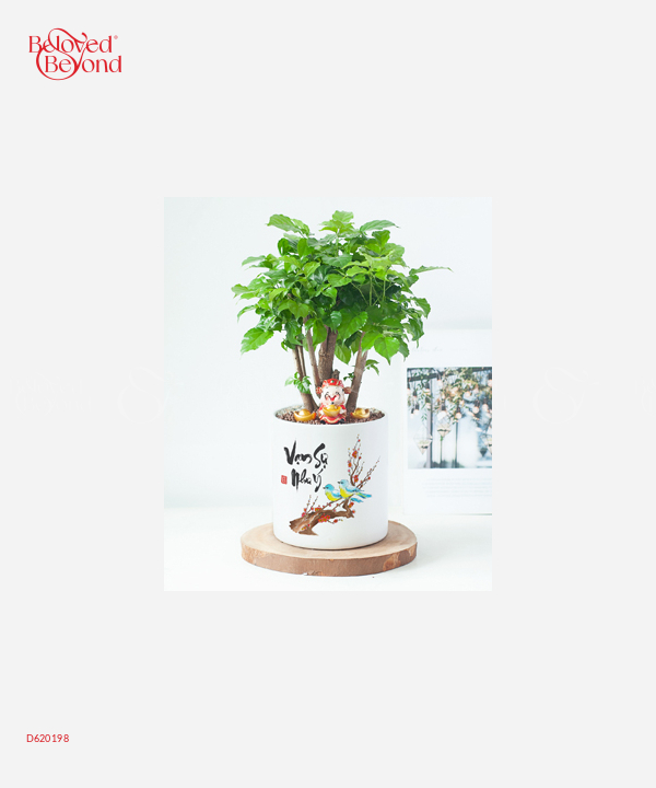 Tết Sum Họp - belovedbeyond.com