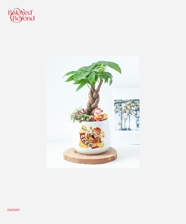 Kim Ngân Bính Tài Lộc - belovedbeyond.com