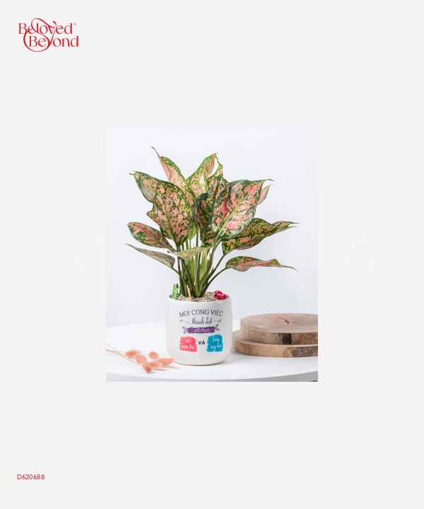 Công Việc Thành Đạt 1 - belovedbeyond.com