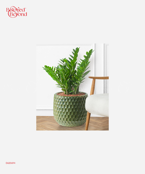 Kim Tiền Msto - belovedbeyond.com