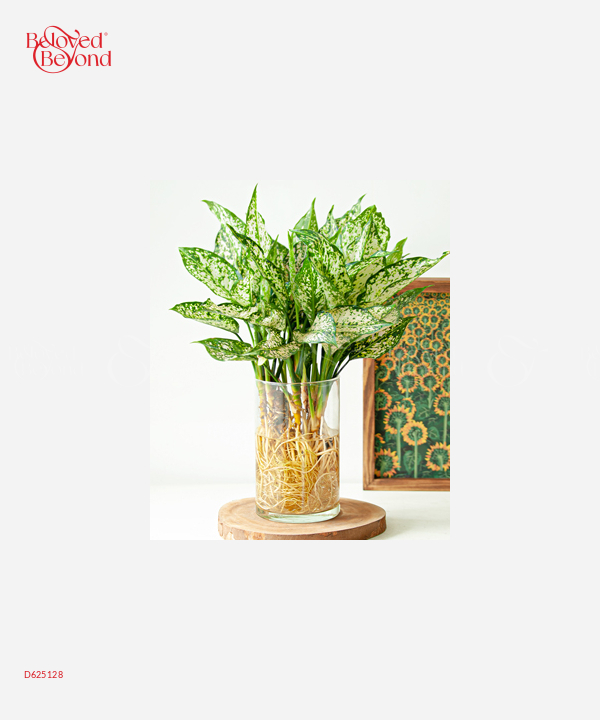 Ngọc Ngân Thủy Sinh - belovedbeyond.com