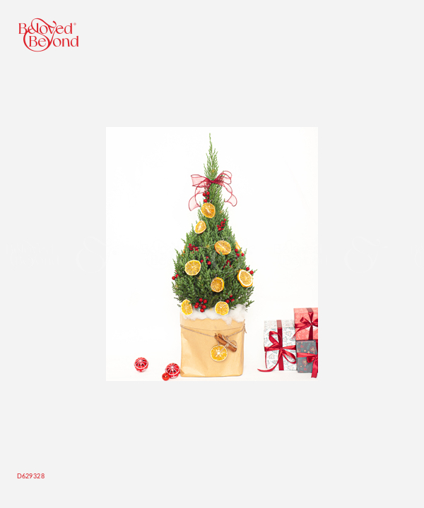 Thông Noel 60Cm Mẫu 15 - belovedbeyond.com