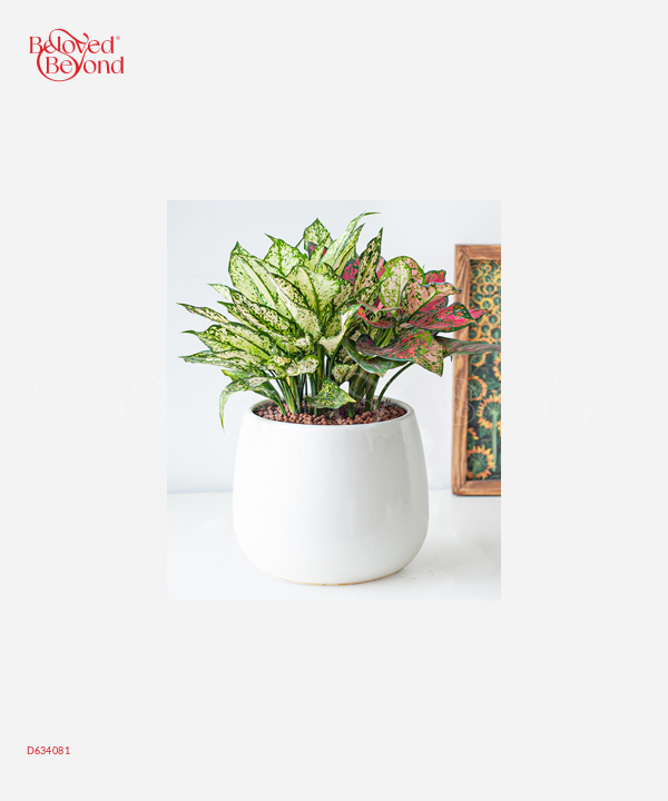 Ngọc Ngân Mix Vạn Lộc - belovedbeyond.com