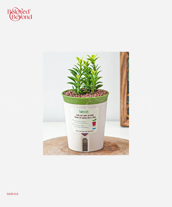 Chậu Tự Tưới Hoàng Kim (S) - belovedbeyond.com
