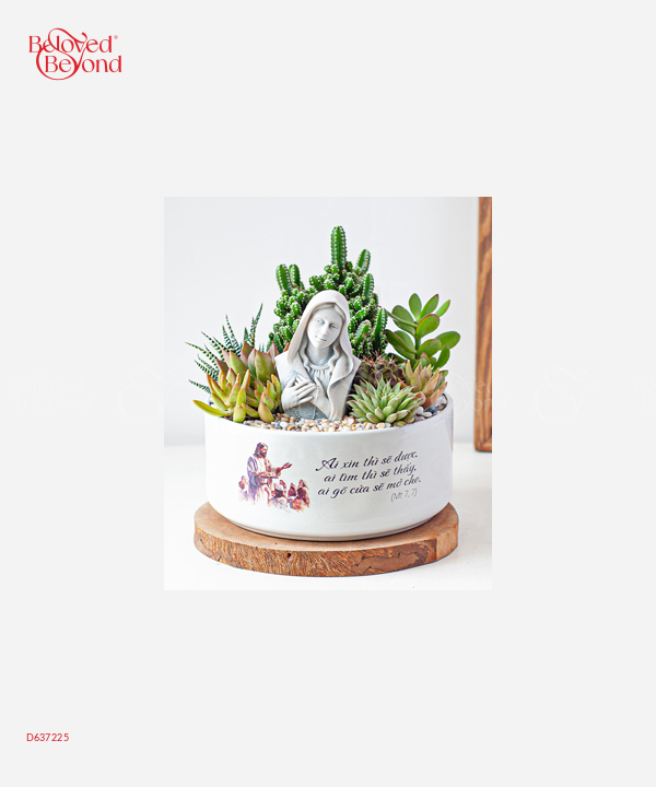 Vườn Đức Mẹ - belovedbeyond.com
