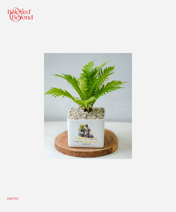 Lời Chúa 3 - belovedbeyond.com