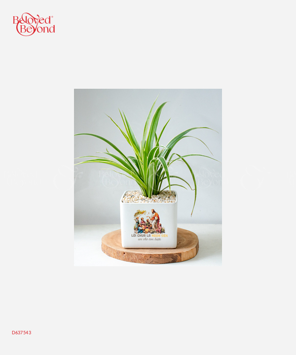 Lời Chúa 2 - belovedbeyond.com