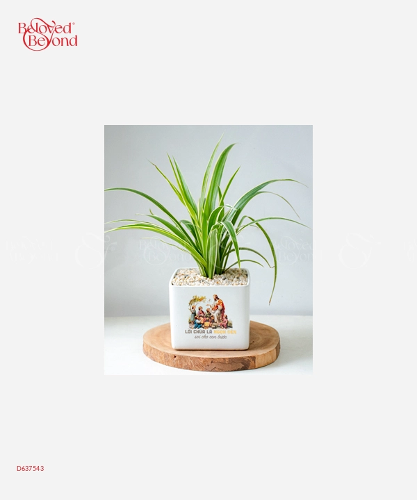 Lời Chúa 2 - belovedbeyond.com