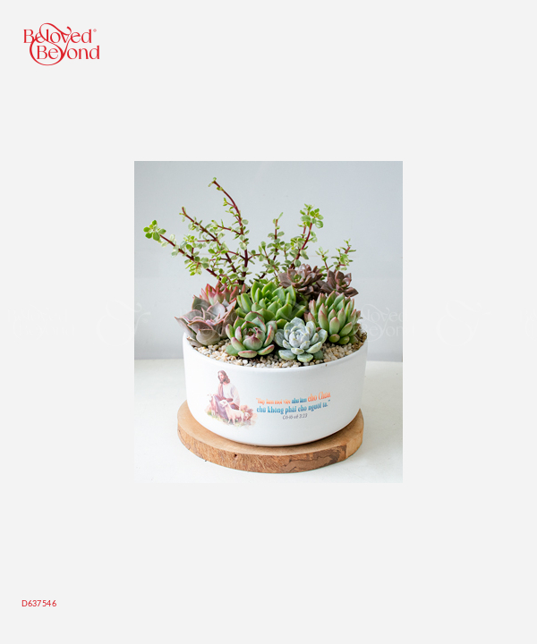 Lời Kinh Thánh - belovedbeyond.com