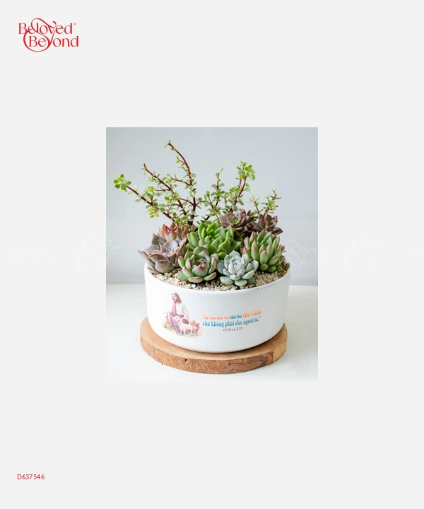 Lời Kinh Thánh - belovedbeyond.com