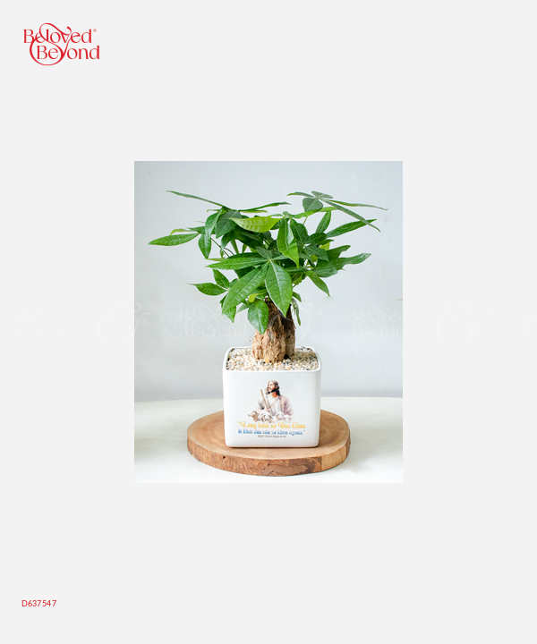 Lời Chúa - belovedbeyond.com