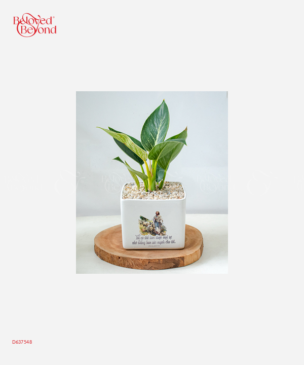 Đức Tin - belovedbeyond.com