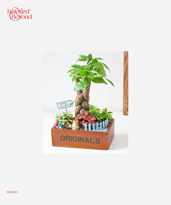 Bên Bờ Hồ - belovedbeyond.com