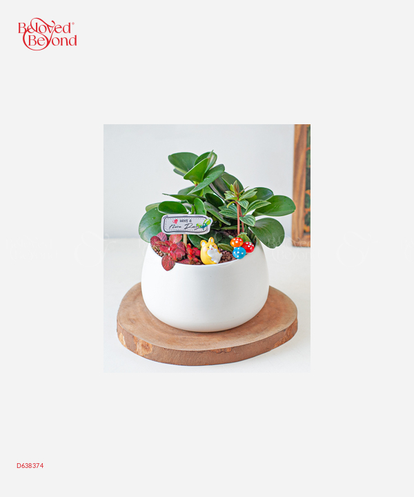 Vườn Xanh - belovedbeyond.com