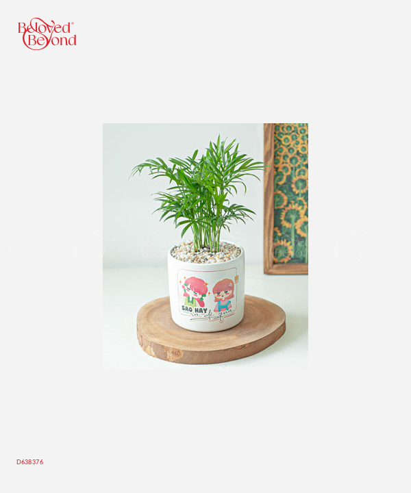 Sao Hay Ra Dẻ - belovedbeyond.com
