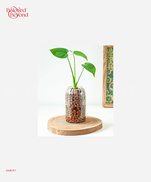 Monstera Mini Ts - belovedbeyond.com