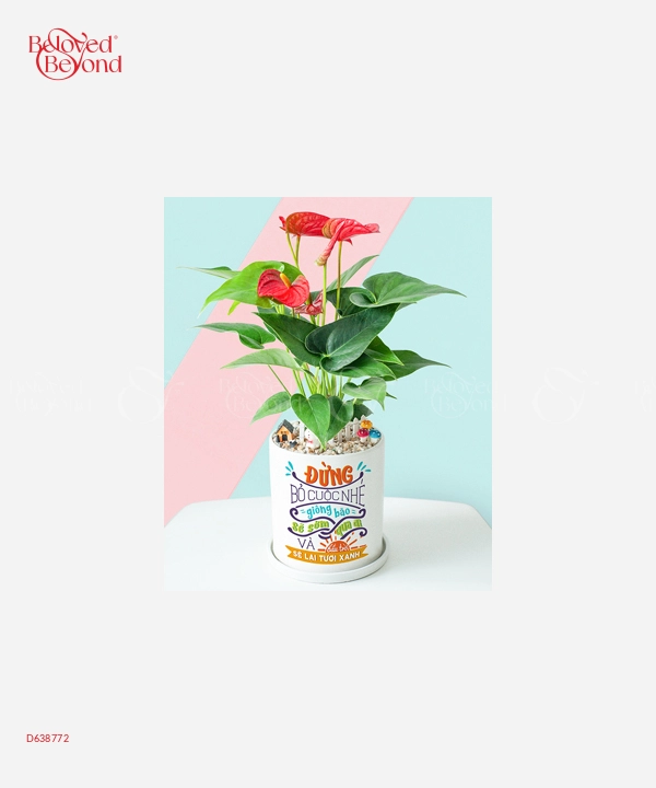 Hồng Môn Cát Tường - belovedbeyond.com