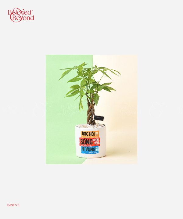Học Hỏi - belovedbeyond.com