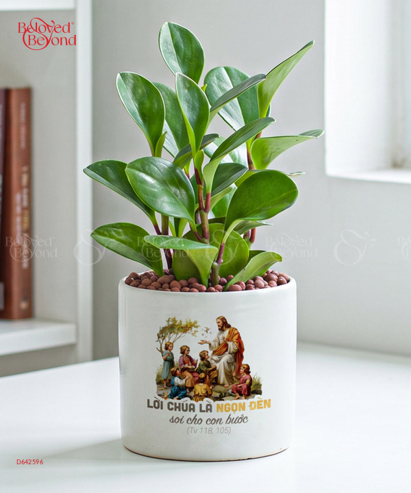 Lời Kinh Thánh 1 - belovedbeyond.com