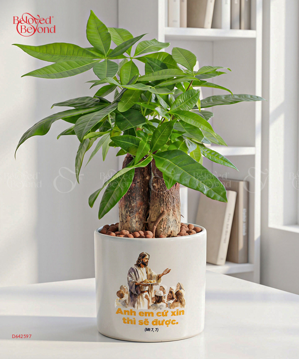 Lời Kinh Thánh 2 - belovedbeyond.com