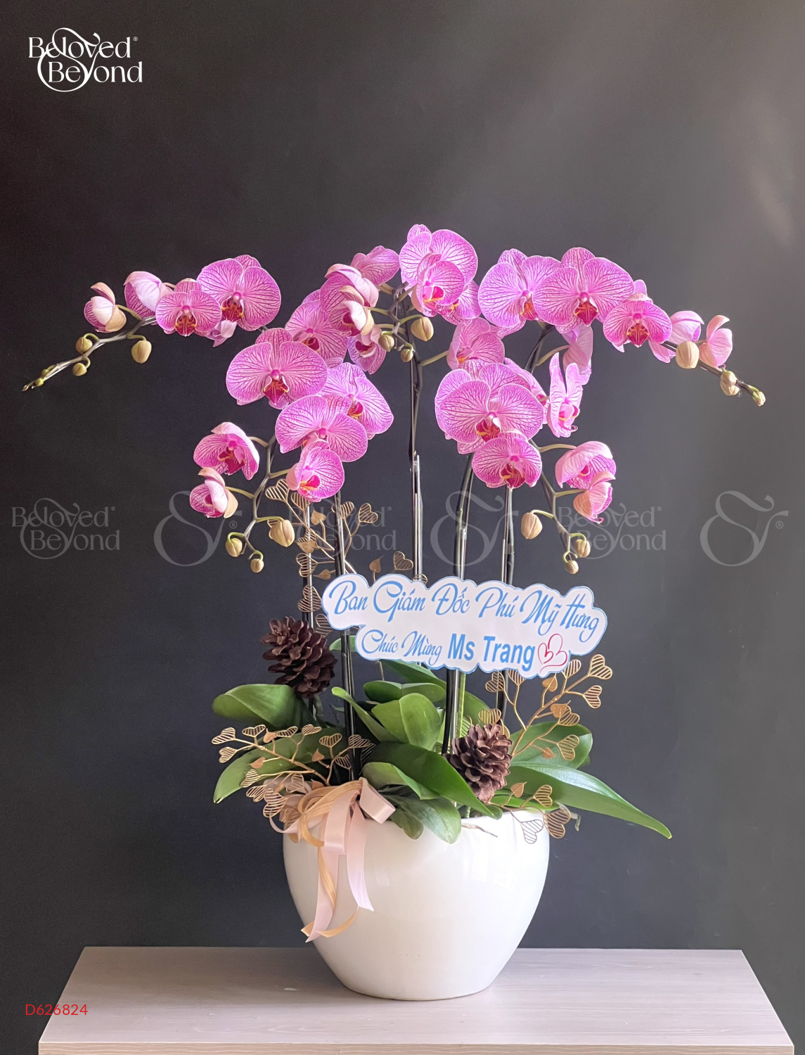 Lan Hồ Điệp - belovedbeyond.com