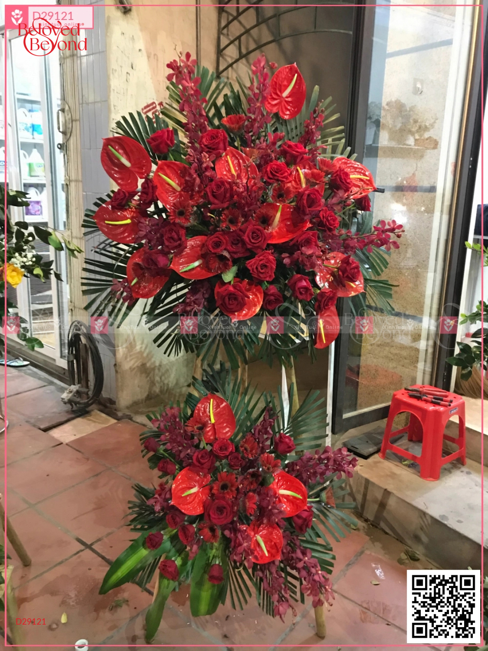 Khởi Sắc - belovedbeyond.com