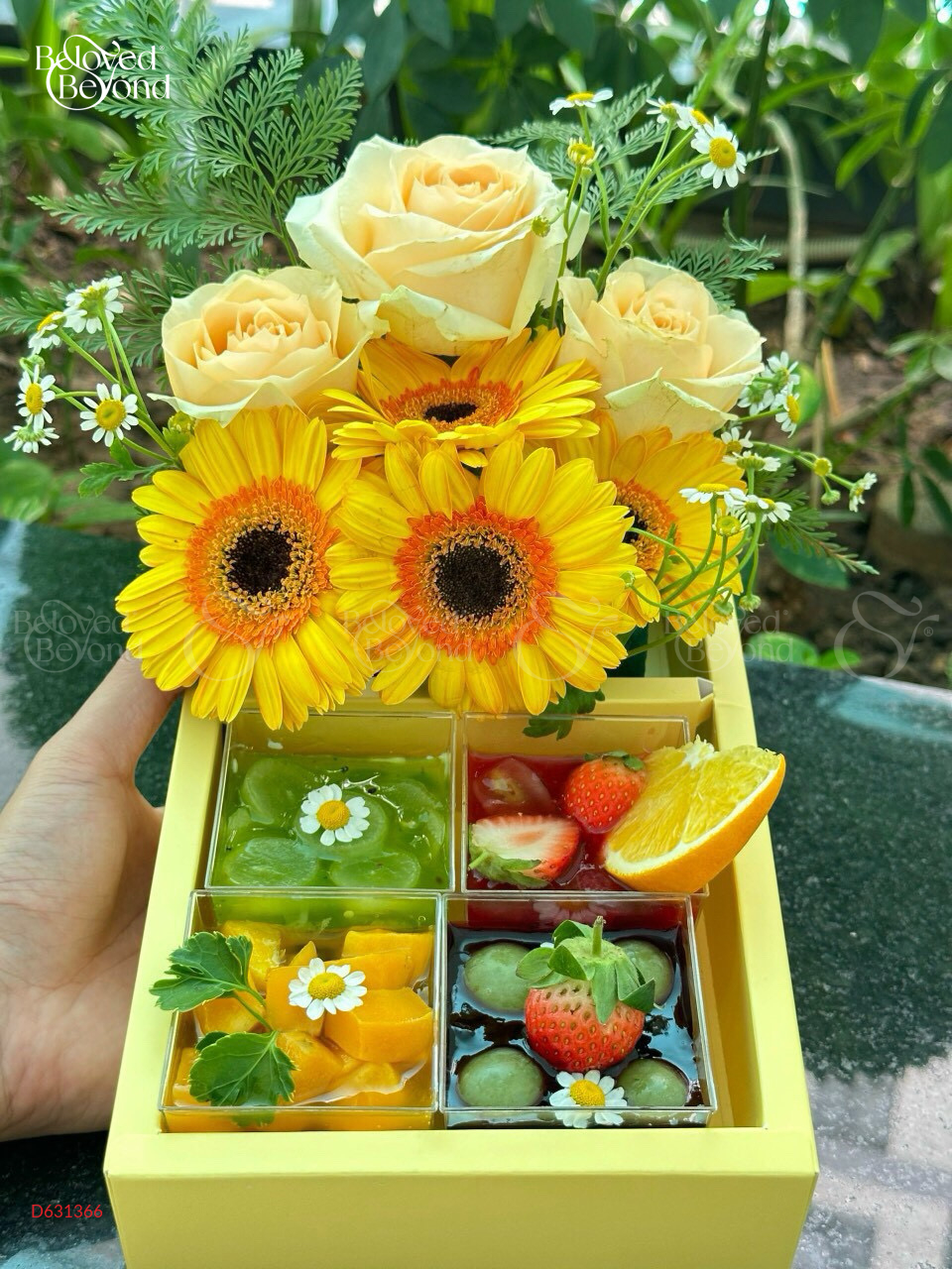 Set Bánh Mousse - belovedbeyond.com