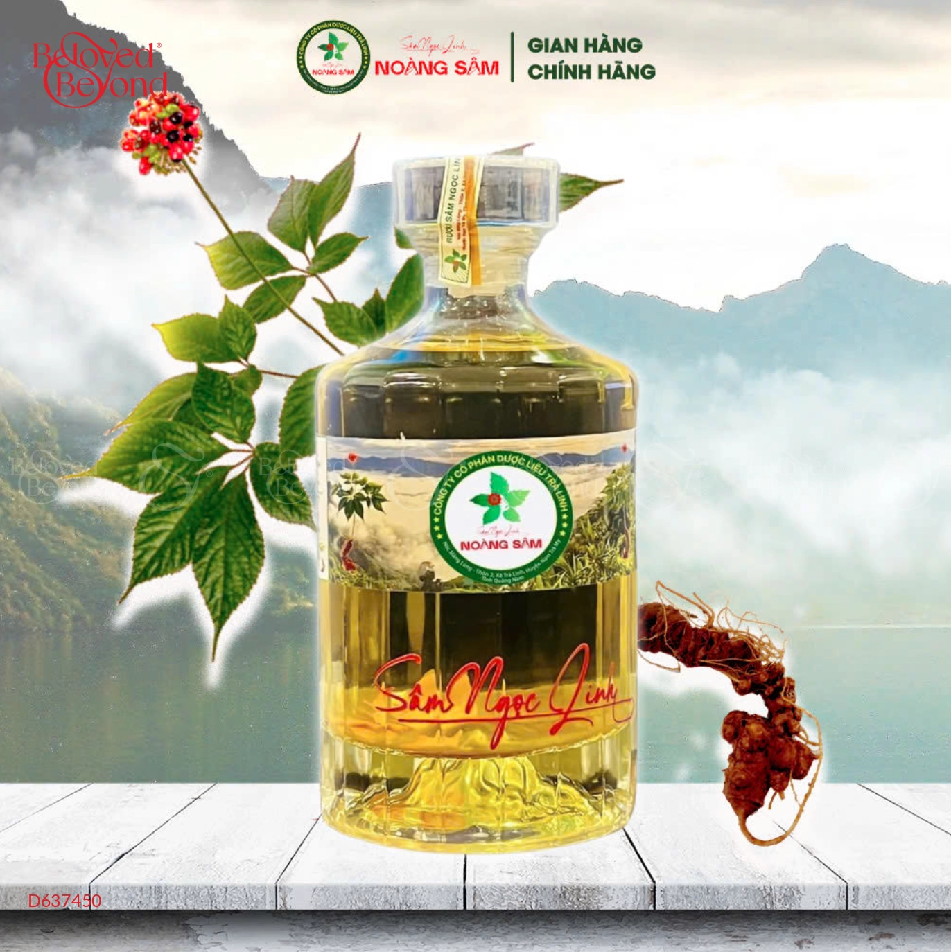 RƯỢU SÂM NGỌC LINH ĐƯỢC NGÂM NGUYÊN CỦ TRONG CHAI THỦY TINH CAO CẤP