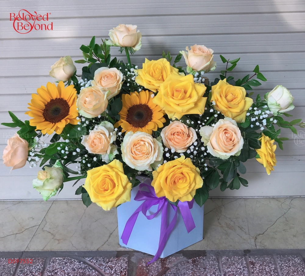 D597552 - belovedbeyond.com