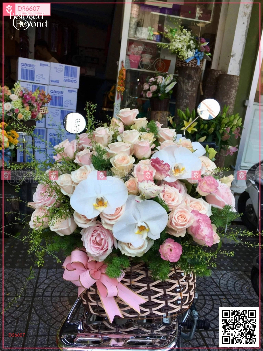 May Mắn - belovedbeyond.com