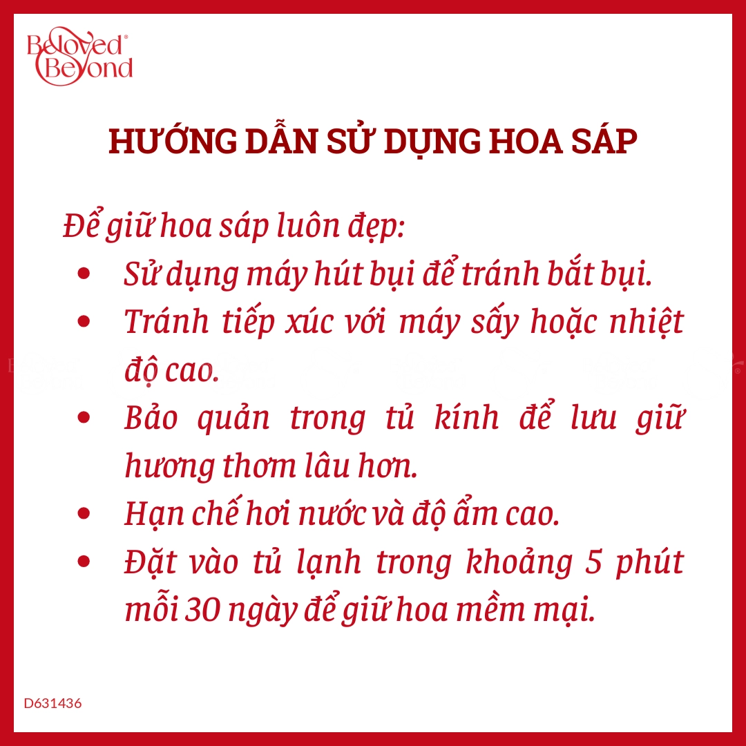 Mây Trắng - Thaoco Florist - belovedbeyond.com